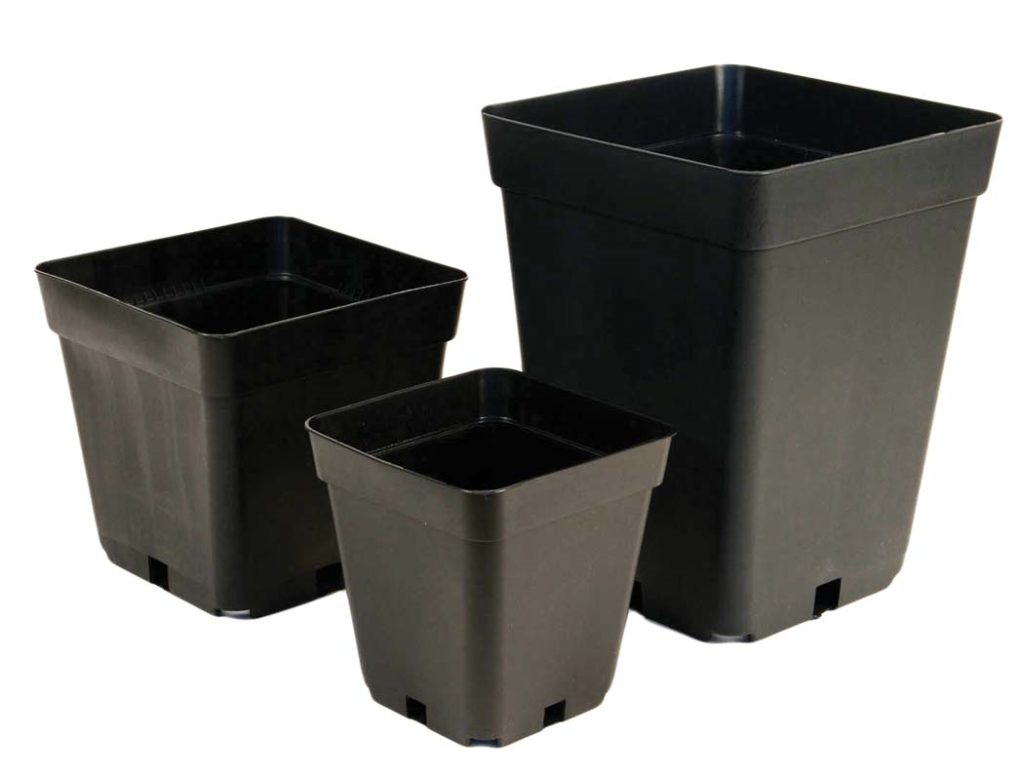Square Pot 7L | Calverton Greens